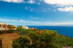 dsc_1341