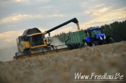dsc_3884