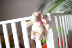 201106-084448_-d3n_7865
