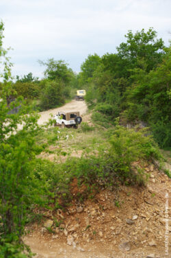 20120519_174009-d3n_8381